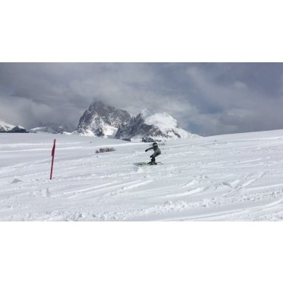 Robin skiing
