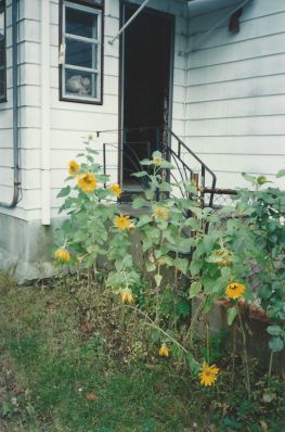 porch01-before.jpg